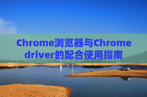 Chrome浏览器与Chromedriver的配合使用指南